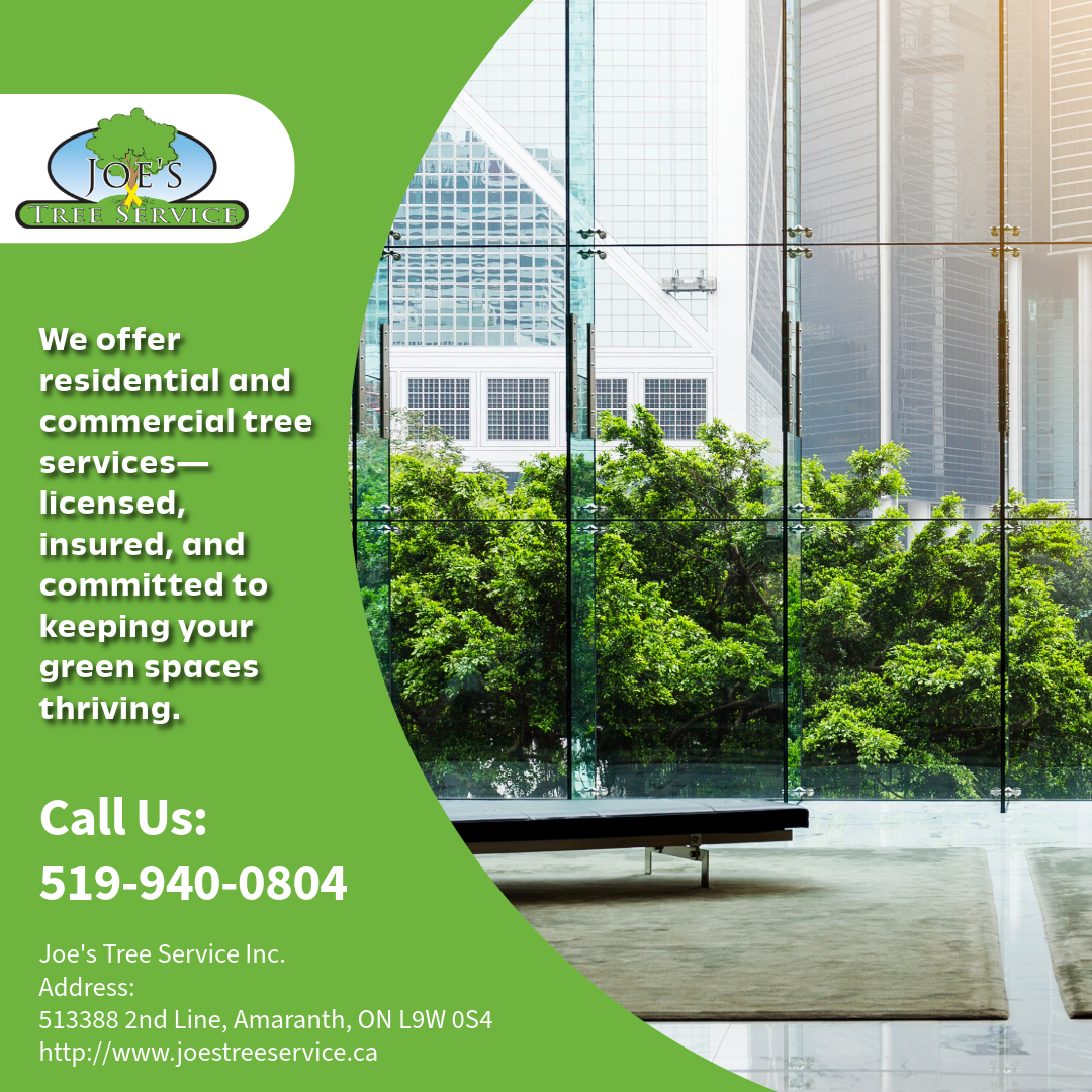 Learn expert winter office tree care tips and how Joe’s Tree Service supports healthy, safe commercial landscapes all season long.